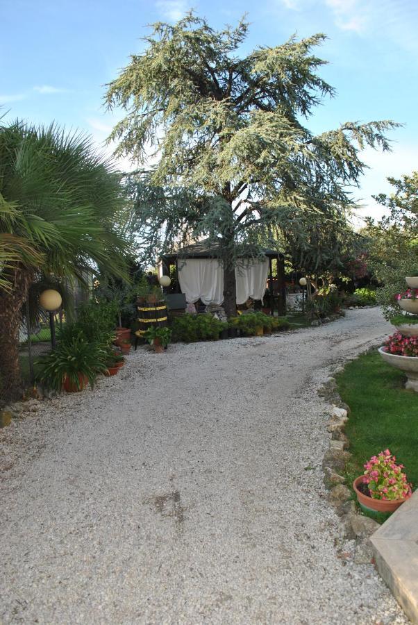 Villino Alle Terme Viterbo Exterior foto
